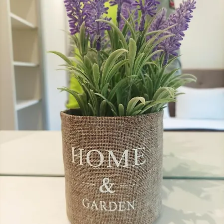 Christos Family Pachis Beach-glyfoneri * Pachis (Thasos)