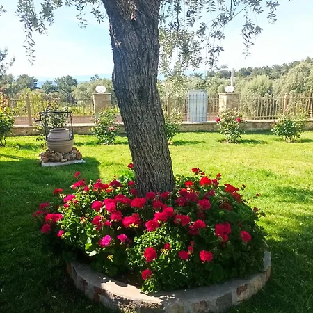 Vakantiehuis Christos Family Pachis Beach-glyfoneri *