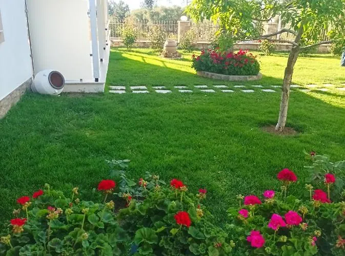 Σπίτι διακοπών Christos Family Pachis Beach-glyfoneri