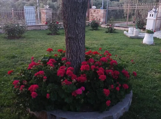 Σπίτι διακοπών Christos Family Pachis Beach-glyfoneri *