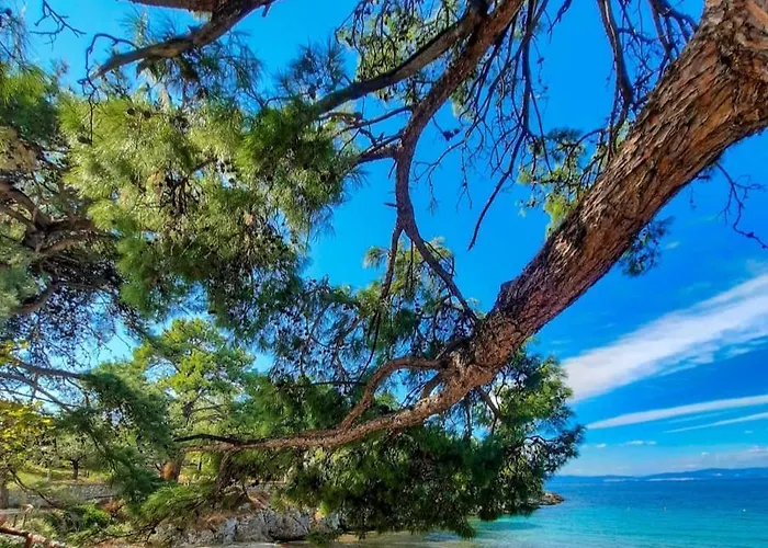Christos Family Pachis Beach-glyfoneri Σπίτι διακοπών