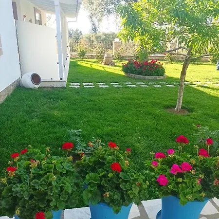 펜션 Christos Family Pachis Beach-glyfoneri