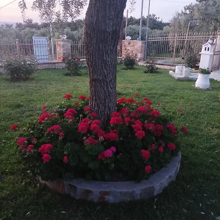 펜션 Christos Family Pachis Beach-glyfoneri *