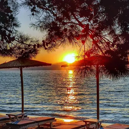 펜션 Christos Family Pachis Beach-glyfoneri 파치스