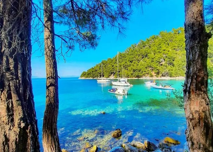 Christos Family Pachis Beach-glyfoneri 파치스